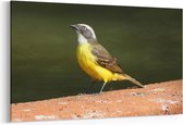 Schilderij - Vogel geel — 100x70 cm
