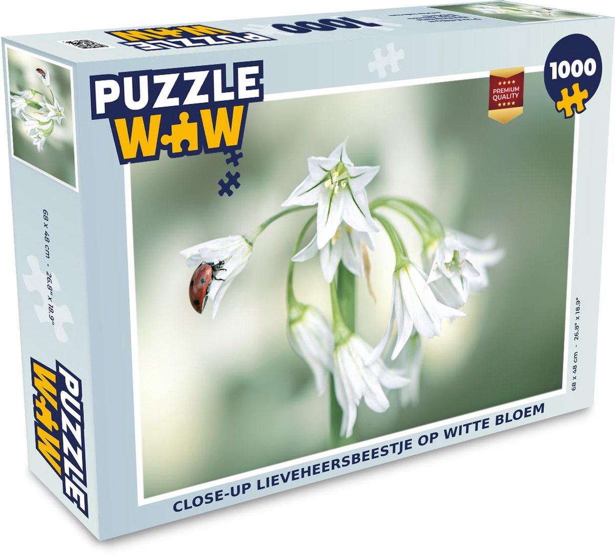 Afbeelding van product Puzzel 1000 stukjes volwassenen Insecten van Dichtbij 1000 stukjes - Close-up lieveheersbeestje op witte bloem - PuzzleWow heeft +100000 puzzels