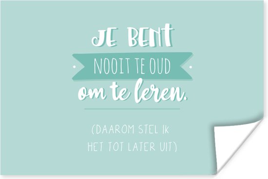 Poster Studie - Boeken - Quotes - Je bent nooit te oud om te leren - 30x20 cm