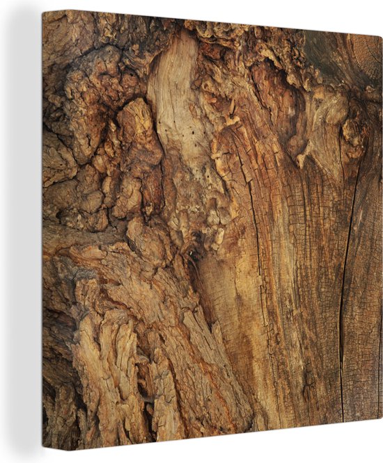 Images sur toile sur cadre 200 x 100 cm arbre pret a