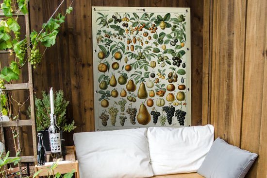 Affiche de jardin Fruit - Poire - Raisin - 90x120 cm