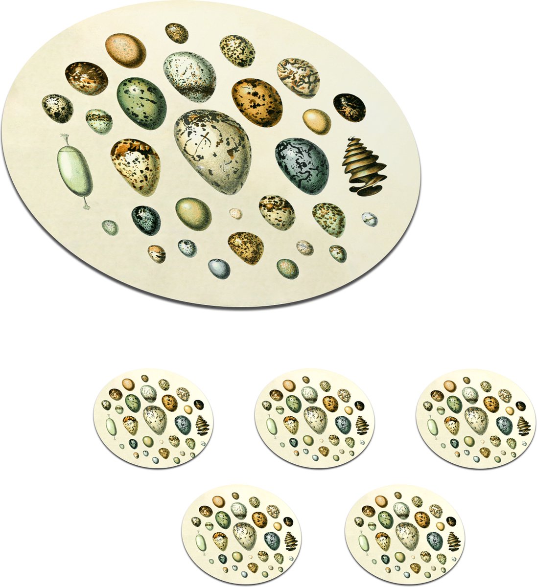 Onderzetters voor glazen - Rond - Ei - Dieren - Design - 10x10 cm - Glasonderzetters - 6 stuks