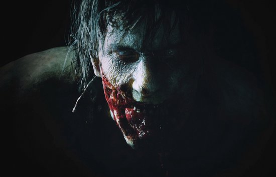 Resident Evil 2 Remake - PS4