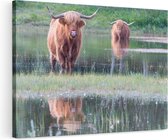 Artaza Canvas Schilderij Twee Schotse Hooglanders in het Moeras - 120x80 - Groot - Foto Op Canvas - Wanddecoratie Woonkamer