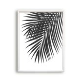 Schilderij  Tropisch palmboom blad rechts - Zwart / Wit / Zwart / Wit / 50x40cm