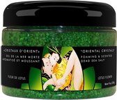 Garden of Edo Organic Kit - Kits green