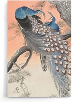 Walljar - Ohara Koson - Two Peacocks On Tree Branch - Muurdecoratie - Poster.