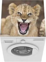 Wasmachine beschermer mat - Wild - Leeuw - Jong - Breedte 60 cm x hoogte 60 cm
