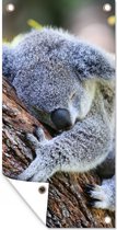 Schuttingposter Koala - Boomstam - Knuffel - Kids - Jongens - Meiden - 100x200 cm - Tuindoek