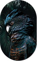 Muurovaal cockatoo S - 60 x 37 cm