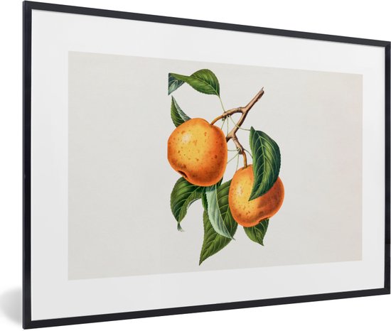 Fotolijst incl. Poster - Fruit - Eten - Bladeren - 120x80 cm - Posterlijst