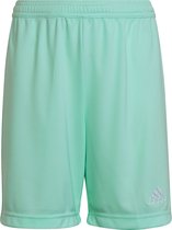 adidas - Entrada 22 Shorts Youth - Mintgroene Shorts-164