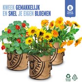 Kweekset Seeds & BEE-Flowers Goudsbloem Zonnebloem en Oost Indische kers /BIO/ gerecycled/ duurzaam/ cadeau idee