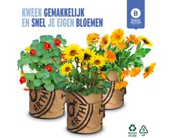 Kweekset Seeds & BEE-Flowers Goudsbloem Zonnebloem en Oost Indische kers /BIO/ gerecycled/ duurzaam/ cadeau idee
