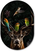 Wandovaal Deer with Birds - WallCatcher | Aluminium 100x150 cm | Ovalen schilderij | Muurovaal Hert met kleurrijke vogels op dibond