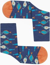 Colorcool Dames Sokken | Fish Sokken | Katoen | 36-40 | Normale boord - Naadloos - Geen Padding