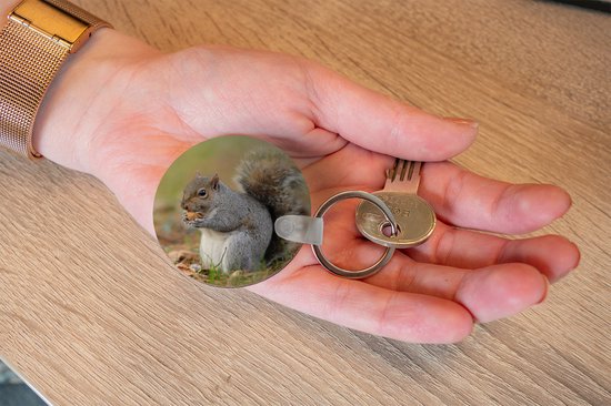 Porte-clés - Écureuil avec cacahuète - Plastique - Rond