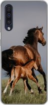 Geschikt voor Samsung Galaxy A50 hoesje - Dieren - Paarden - Veulen - Siliconen Telefoonhoesje