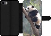 Bookcase Geschikt voor iPhone 7 telefoonhoesje - Panda - Dier - Boom - Met vakjes - Wallet case met magneetsluiting