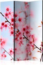 Vouwscherm - Symbol of Japan - sakura flowers [Room Dividers]