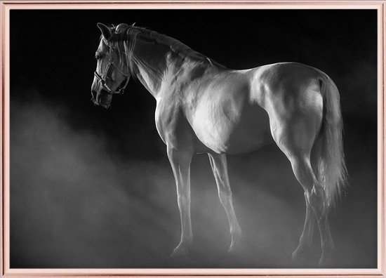 Poster Met Witte Lijst - Witte Paard Poster (21x30cm)