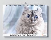 American Curl verjaardagskalender | 42 X 29.7 CM | Verjaardagskalender Katten | Katten soort American Curl | Verjaardagskalender Volwassenen