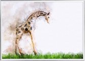 Poster Met Metaal Zilveren Lijst - Giraffe Aquarel Poster