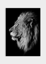 Poster Dark Lion - Plexiglas - Meerdere Afmetingen & Prijzen | Wanddecoratie - Interieur - Art - Wonen - Schilderij - Kunst