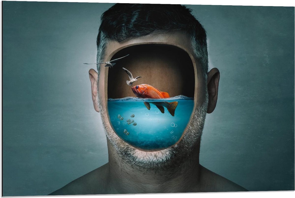 Dibond - Aquarium Hoofd van Man - 90x60cm Foto op Aluminium (Met Ophangsysteem)