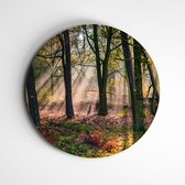 Muurcirkel beams and colors Floriade Venlo | fotoprint op forex | wanddecoratie