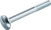Hoenderdaal slotbouten verzinkt inclusief moer laagbolkop M6 x 140 mm 100 stuks