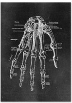 Anatomy Poster Hand Black - 15x20cm Canvas - Multi-color