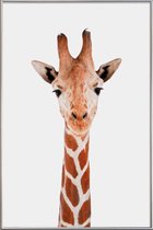 JUNIQE - Poster met kunststof lijst Giraffe -20x30 /Bruin & Wit