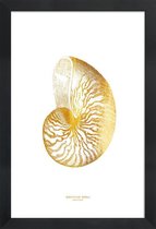 JUNIQE - Poster met houten lijst Nautilus Shell gouden -13x18 /Goud &