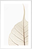 JUNIQE - Poster met kunststof lijst Translucent Leaf -13x18 /Wit