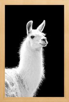 JUNIQE - Poster met houten lijst Llama -13x18 /Wit & Zwart