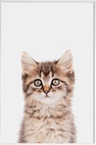 JUNIQE - Poster met kunststof lijst Kitten II -60x90 /Bruin & Grijs