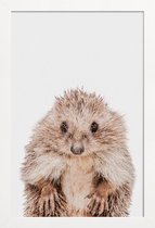 JUNIQE - Poster in houten lijst Hedgehog -30x45 /Bruin