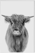 JUNIQE - Poster in kunststof lijst Young Highland Cow Classic -40x60