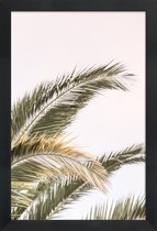 JUNIQE - Poster in houten lijst Oasis Palm 3 -20x30 /Groen