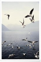 JUNIQE - Poster Meeuwen foto -13x18 /Blauw & Wit