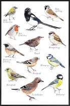 JUNIQE - Poster in kunststof lijst Vogel illustratie -20x30 /Kleurrijk