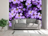 Professioneel Fotobehang Paarse bloemen - paars - Sticky Decoration - fotobehang - decoratie - woonaccesoires - inclusief gratis hobbymesje - 385 cm breed x 260 cm hoog - in 7 verschillende f