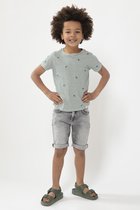 Sissy-Boy - Groen gestreept T-shirt met korte mouw en all over insectenprint