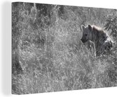 Canvas Schilderij Jagende hyena - 30x20 cm - Wanddecoratie