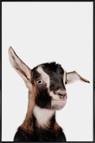 JUNIQE - Poster in kunststof lijst Goat -20x30 /Bruin & Wit