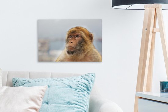 Portrait de Macaque de Barbarie sur toile 30x20 cm - petit - Tirage photo sur toile (Décoration murale salon / chambre) / Peintures sur toile Animaux