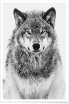 JUNIQE - Poster Winterwolf -30x45 /Grijs