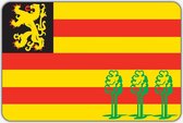 Vlag Luyksgestel - 70 x 100 cm - Polyester