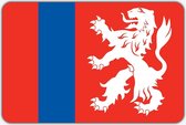 Vlag Heenvliet - 150 x 225 cm - Polyester